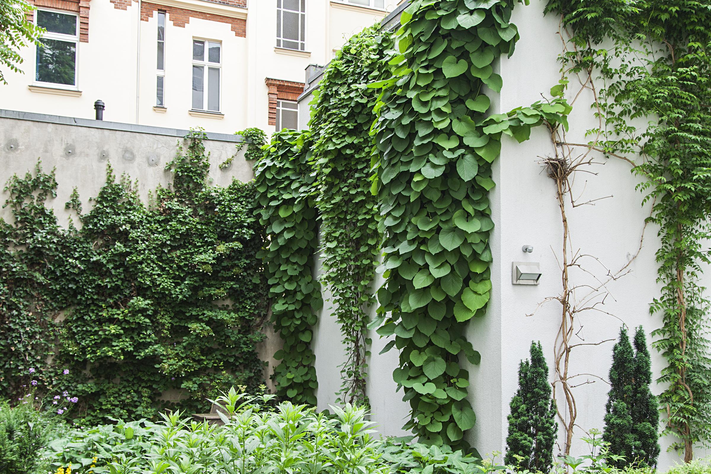 Quentin Design Hotel Berlín Exteriér fotografie